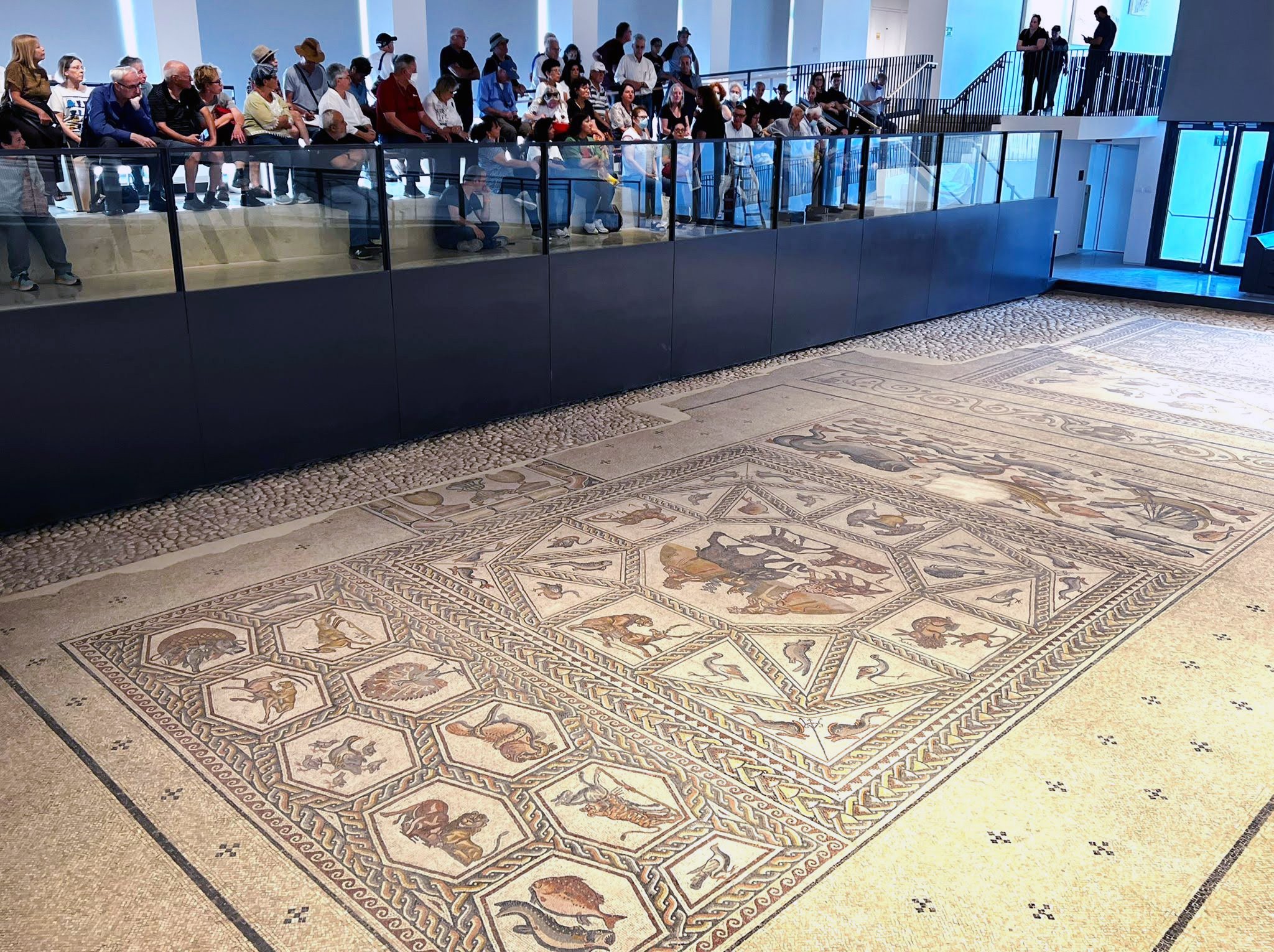Shelby White and Leon Levy Lod Mosaic Archaeological Center