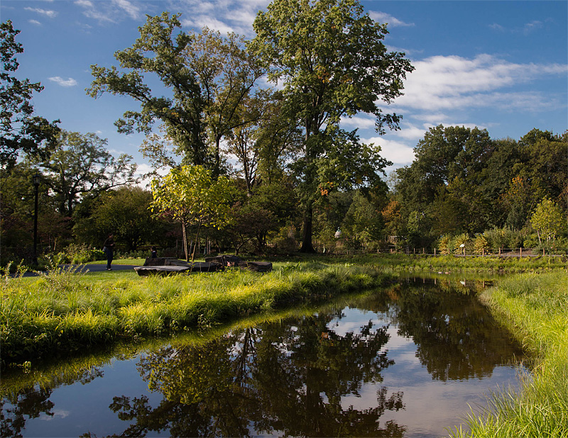 Brooklyn’s Botanic Garden Goes on a Water Diet