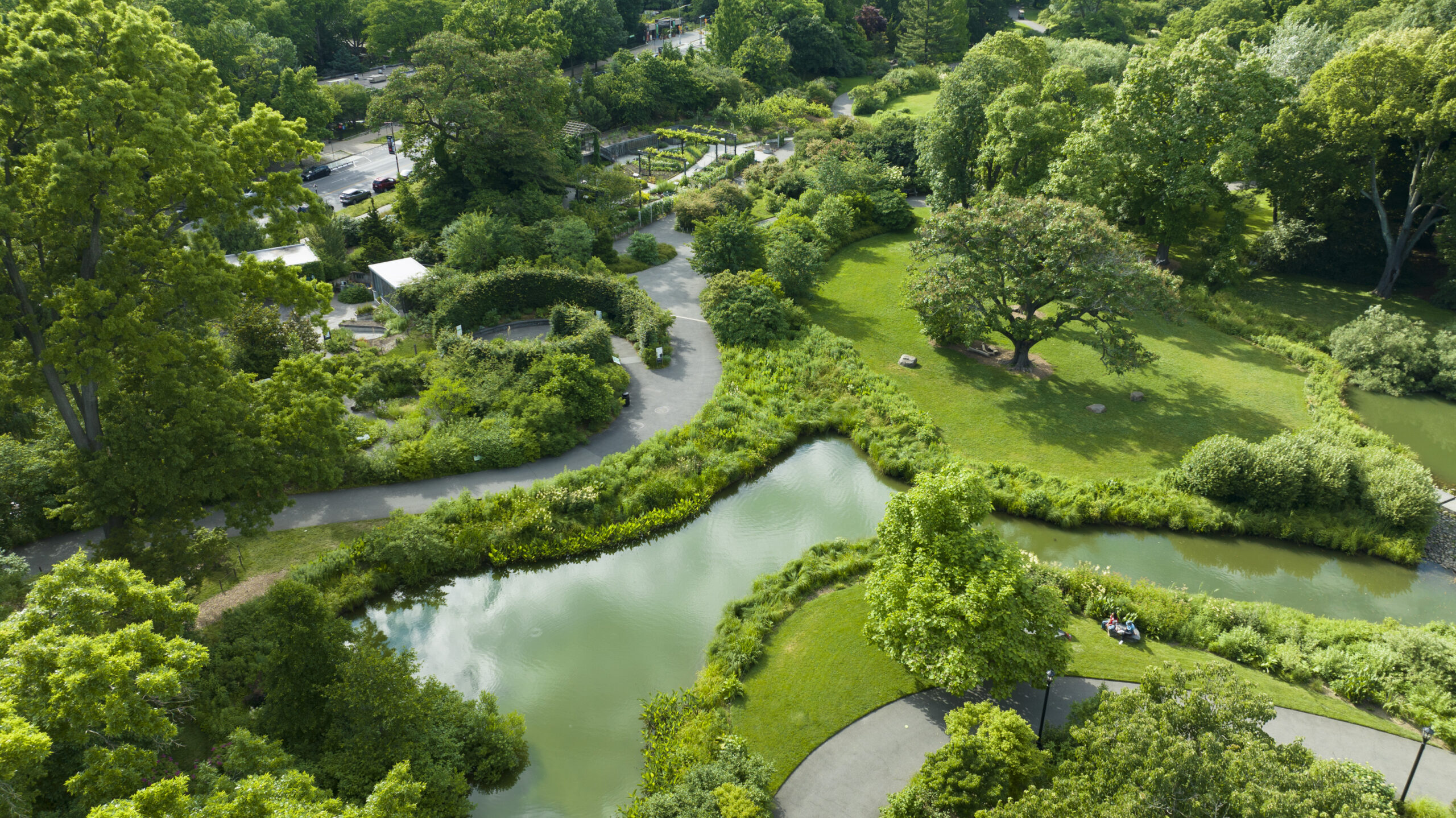 Brooklyn Botanic Garden